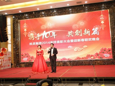 隆重舉辦2014 “攜手10年，共創(chuàng  )新篇”年度表彰大會(huì )暨新春聯(lián)歡晚會(huì )