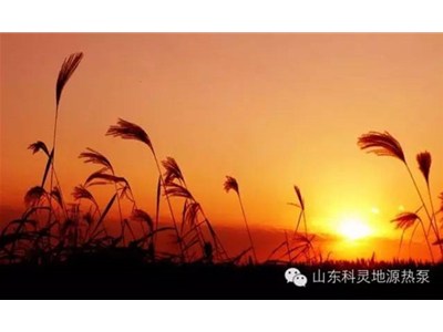 大愛(ài)初秋，醉美科靈